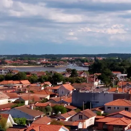 L' Albatros Arcachon