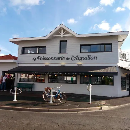 L' Albatros Apartment